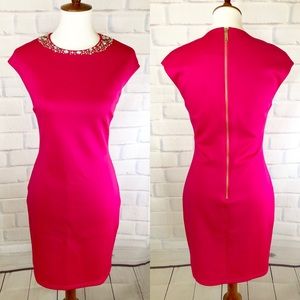 T E D B A K E R : “Betiana” Pink Embelliahed Dress
